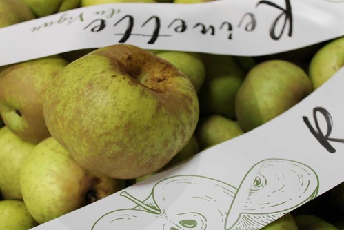 Pommes Reinette - © Origine Cévennes Pommes Reinette - © Origine Cévennes