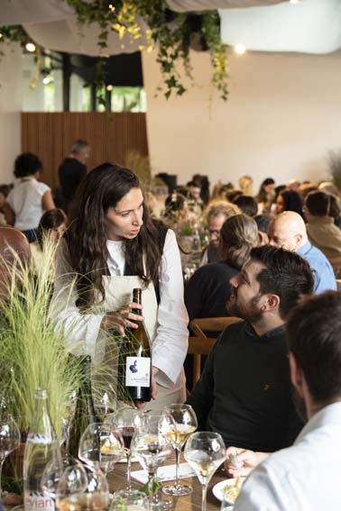 © Corinne Jamet/Vignobles en Scène