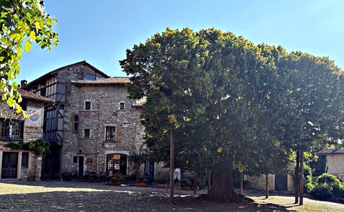 Place de la Halle et son célèbre tilleul de la Liberté - © Catherine Monbreault