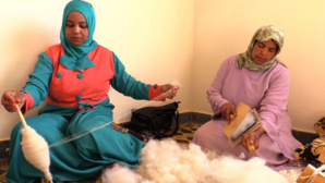 © R.Hannani © R.Hannani