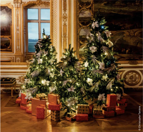 © Christophe Tanière