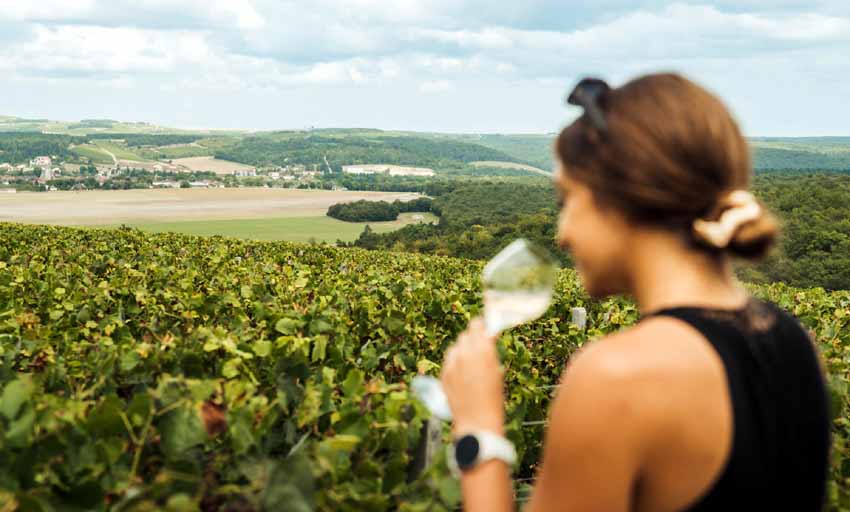 Balade et dégustation dans le vignoble aubois - © ART GE - Pierre Defontaine