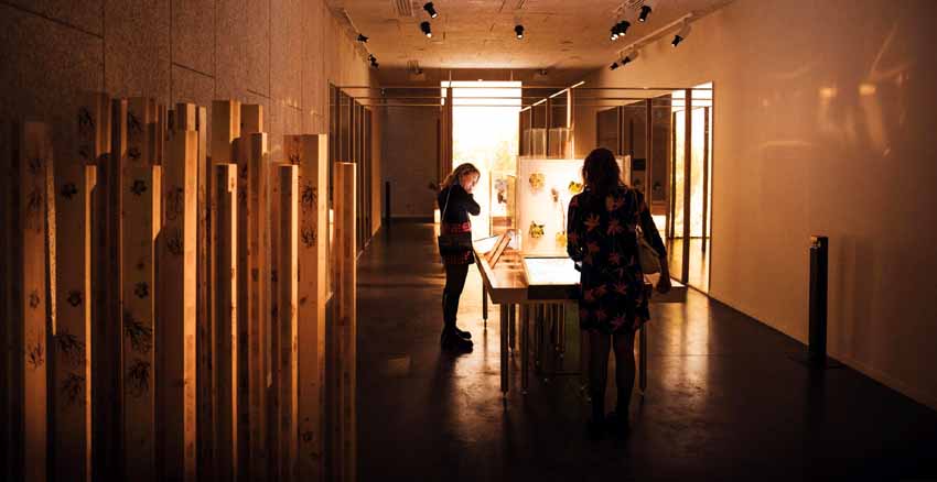 Pressoria - Aÿ Champagne_- © ART GE - Pierre Defontaine