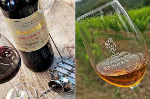 © Dominique Marché © Dominique Marché