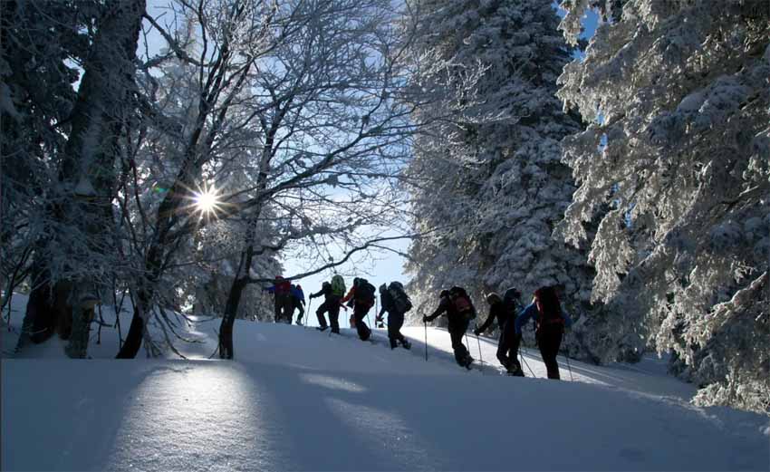 Marche en raquettes - © La Rosière Tourisme