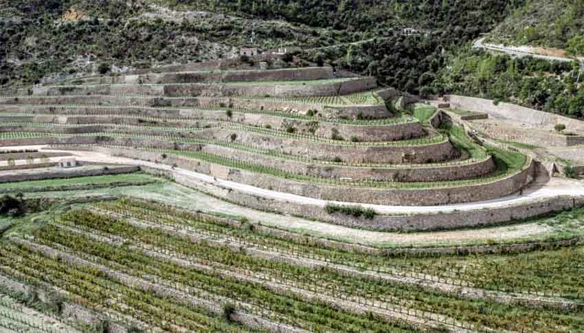 © Domaine Son Bunyola