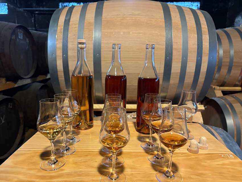 © Catherine Monbreault