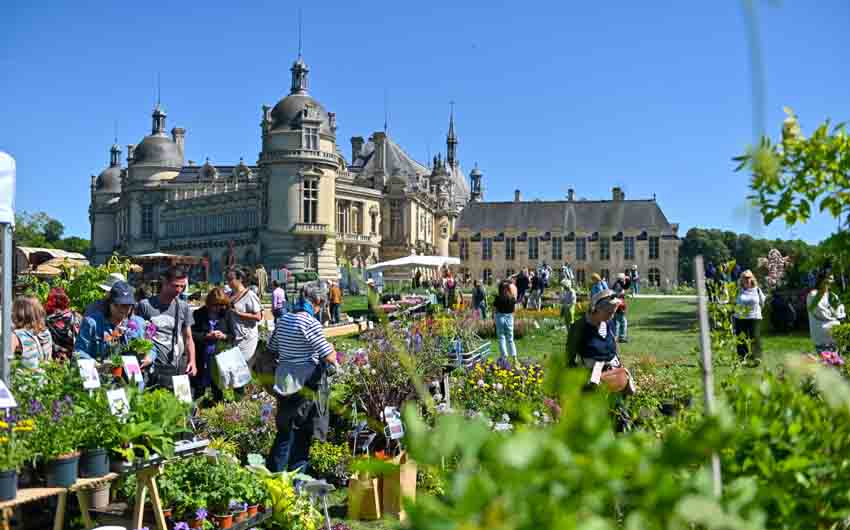 Les Journées des Plantes de Chantilly - © Muriel Vatrin