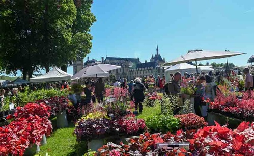 Les Journées des Plantes de Chantilly - © Muriel Vatrin Les Journées des Plantes de Chantilly - © Muriel Vatrin