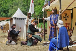 Journée tellement royale. . Château d'Amboise Vaulry - © Mandragore Journée tellement royale. . Château d'Amboise Vaulry - © Mandragore
