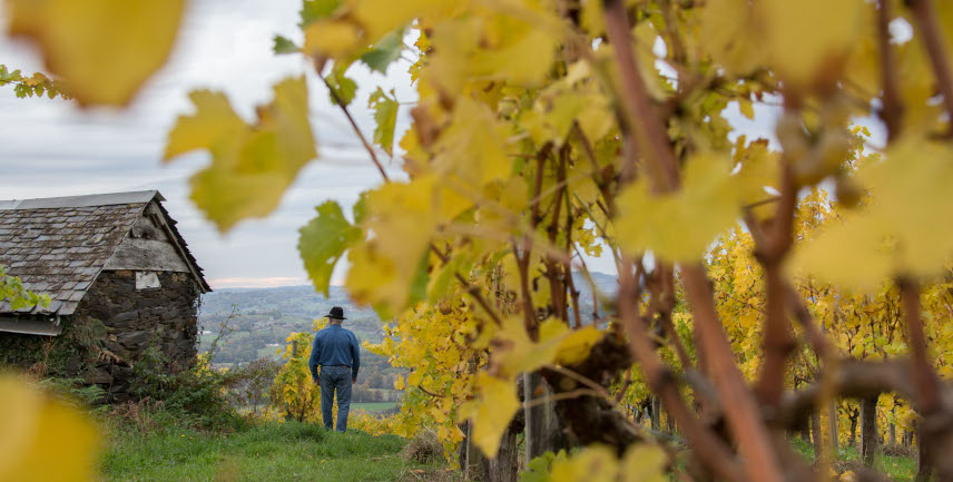 Les coteaux de la Vézère - © Malika Turin