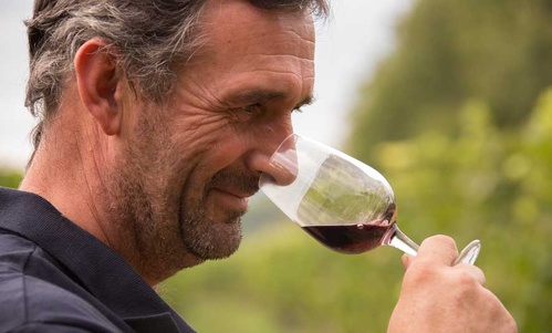 Branceilles, à la découverte du  vignoble des « 1001 Pierres » - © Malika Turin