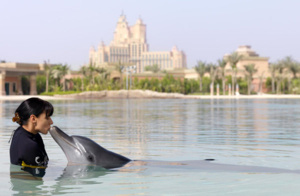 © Dubai Department of Tourism © Dubai Department of Tourism