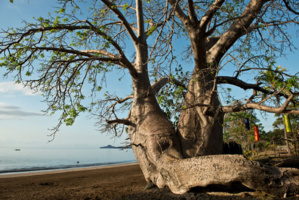 © CDT Mayotte © CDT Mayotte