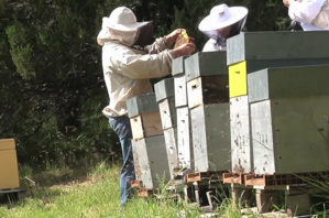 Photo Y. Barraud Photo Y. Barraud