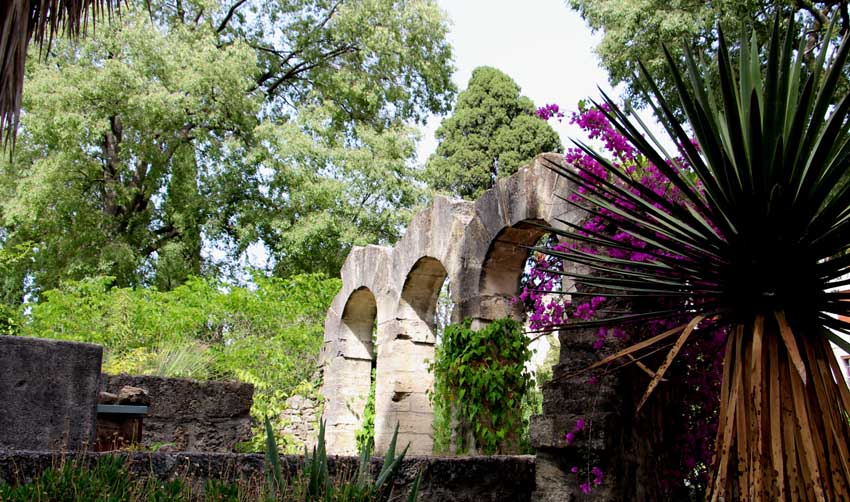 Le Jardin des Plantes -  © Montpellier Tourisme