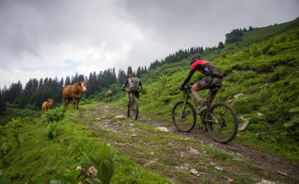 Sur les sentiers des Portes du Mont-Blanc - © A. Pernet Sur les sentiers des Portes du Mont-Blanc - © A. Pernet