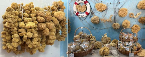 Bienvenue sur l’île de Lampedusa, lumière de la Sicile