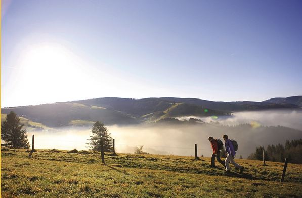 Belles journées estivales dans le Bade-Wurtemberg  