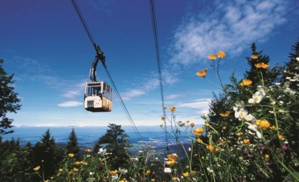 Office de Tourisme du Bade-Wurtemberg Office de Tourisme du Bade-Wurtemberg