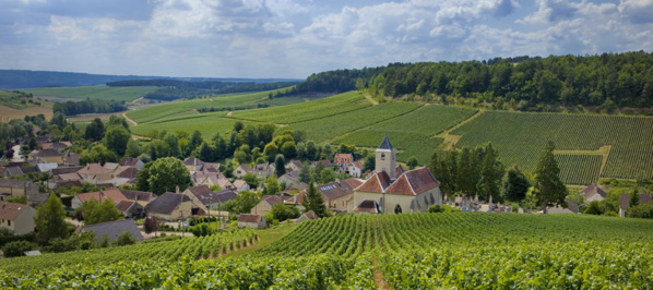 Sur la Route du Champagne en Fête