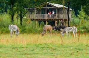 Evasion africaine en Auvergne aux Lodges du PAL
