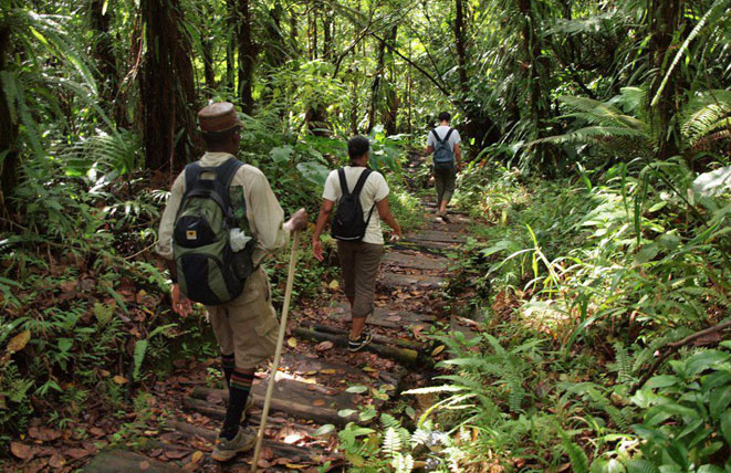 © Tourisme La Dominique © Tourisme La Dominique