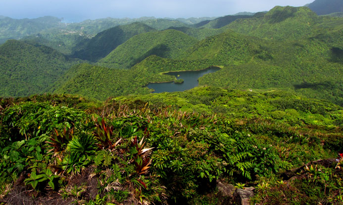 Morne Micotrin © O.T. La Dominique