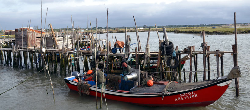 Carrasqueira - © D. Raynal