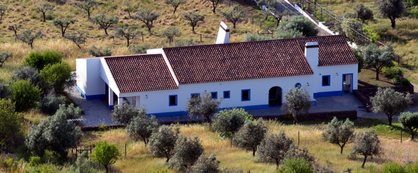 Près du village de Monsaraz - © D. Rayna