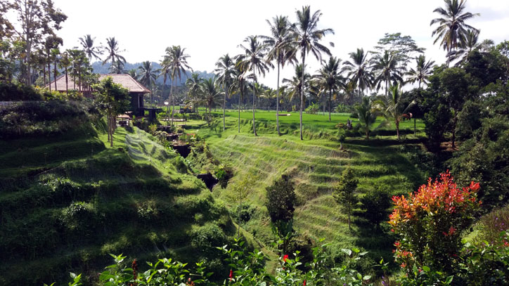 Bali - © JL Corgier
