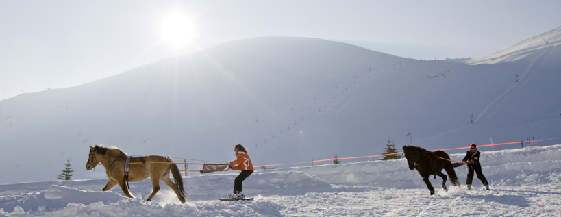 Ski Joering dans le Vercors -© Isère Tourisme