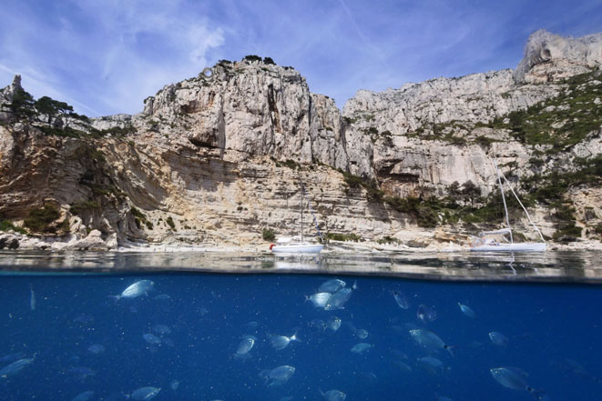 Parc National des Calanques © Florian Launette