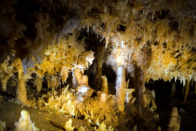 Journée Internationale des Grottes Touristiques