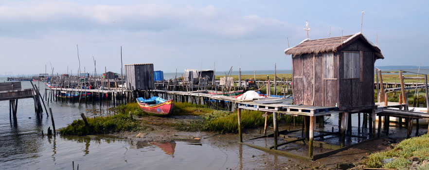 Carrasqueira (Alentejo) - © D. Raynal