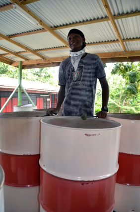 Steel drums - © D. Raynal Steel drums - © D. Raynal