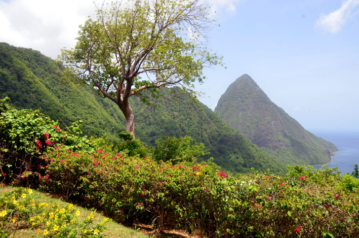 Vue imprenable sur les pitons au Ladera Resort© D. Raynal Vue imprenable sur les pitons au Ladera Resort© D. Raynal