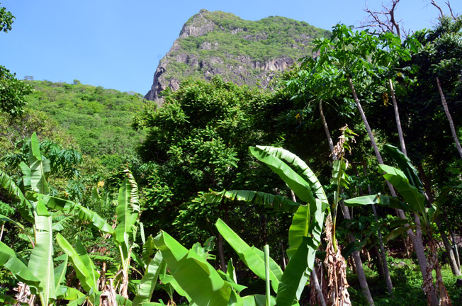 Le Gros et Petit Piton sont inscrits au patrimoine mondial de l'Unesco  - © D. Raynal Le Gros et Petit Piton sont inscrits au patrimoine mondial de l'Unesco  - © D. Raynal