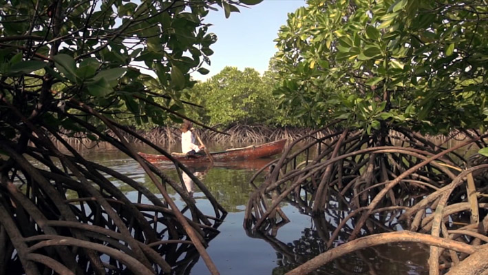 Réserves de Biosphère en Indonésie reconnues par l'UNESCO Réserves de Biosphère en Indonésie reconnues par l'UNESCO