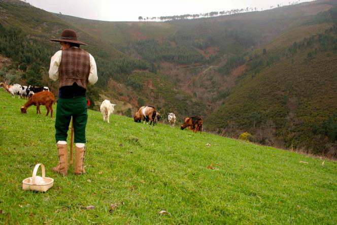 Berger dans les montagnes © Bruno_Ramos