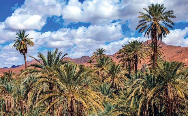 Forum International du Tourisme Solidaire à Ouarzazate