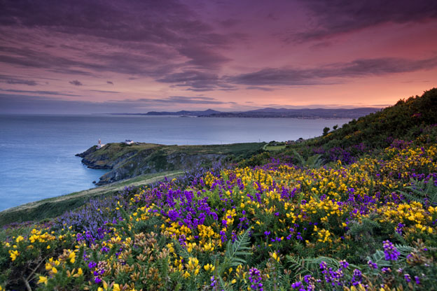 Howth Head - © Tourisme Irlandais