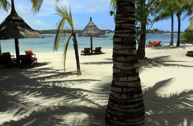 Hôtel Constance Prince Maurice - De par sa riche biodiversité tropicale, la grande forêt de mangrove indigène (Rhizophora Mucronata) et la réserve de poissons protégée du barachois, la faune et la flore qui entourent l'hôtel Constance Prince Maurice sont uniques sur l'île.© David Raynal