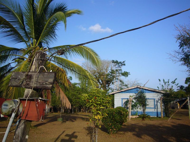 Caño Negro - © DR