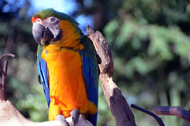 @ David Raynal @ David Raynal