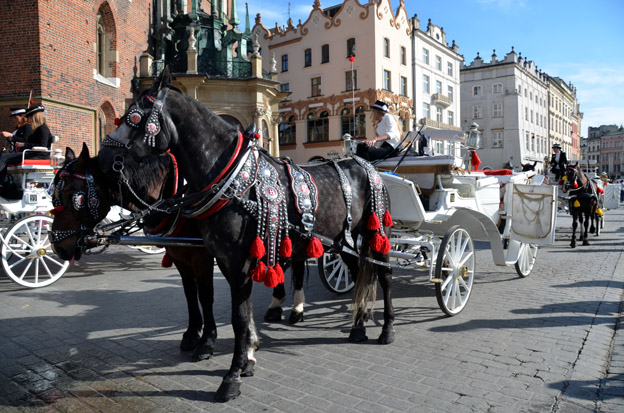 Le Rynek (marché) de Cracovie et ses calèches - © David Raynal