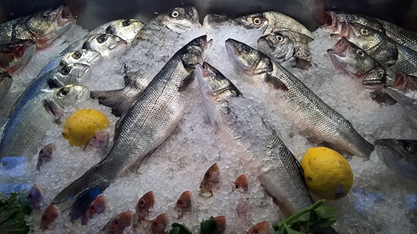 Les touristes et les locaux viennent s’attabler dès la belle saison aux terrasses des restaurants de poissons appelés « meyhane » - @ David Raynal