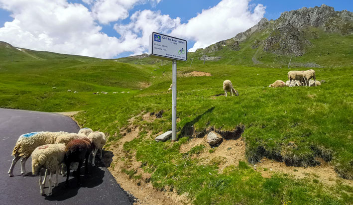 sur la route du Tour Malet - © Dominique Marché