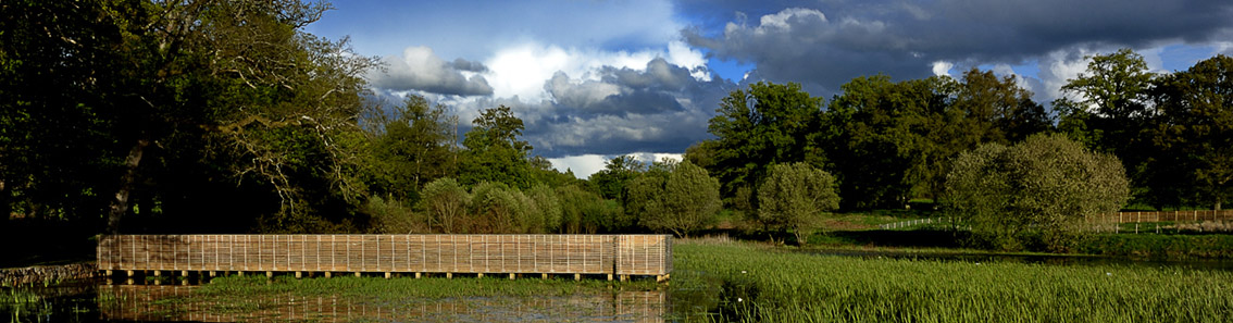 © David Raynal © David Raynal