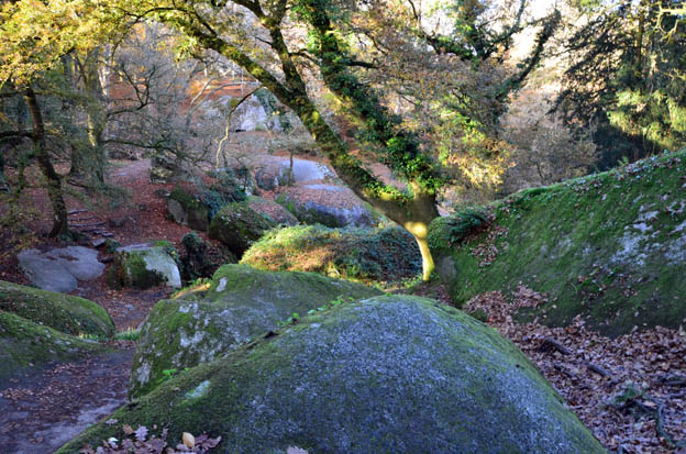 Paysage de la forêt de Huelgoat - © David Raynal